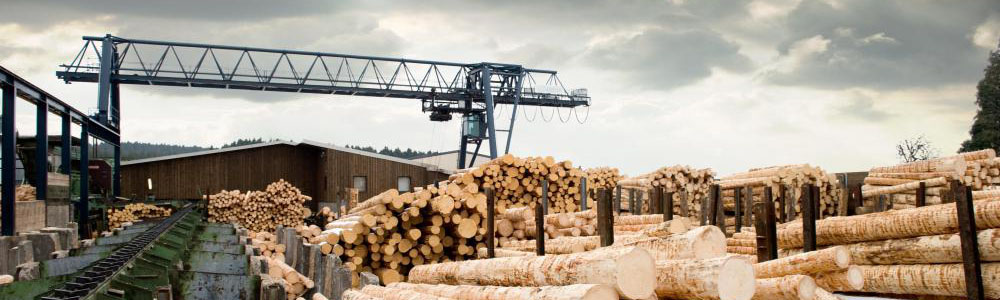 GALLERY - Thompson River Lumber